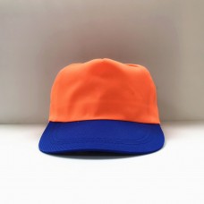 帽子(橘頂藍眉)