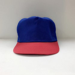 帽子(藍頂紅眉)
