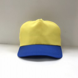 帽子(黃頂藍眉)